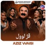 عزیز ویسی – قژ لوول